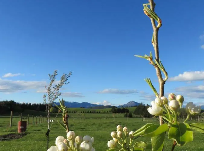 Quiet In Paradise * Wanaka